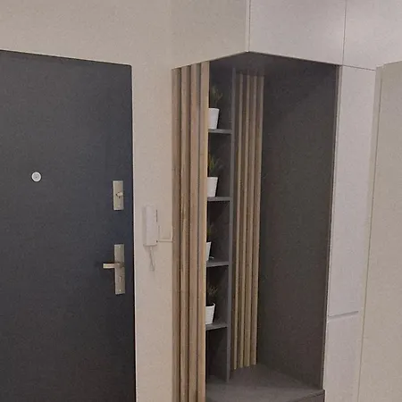 Z Ogrodkiem Wysoki Standard Centrum Polnoc * Szczecin