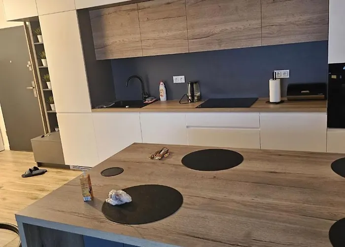 Z Ogródkiem Wysoki Standard Centrum Północ Apartamento *